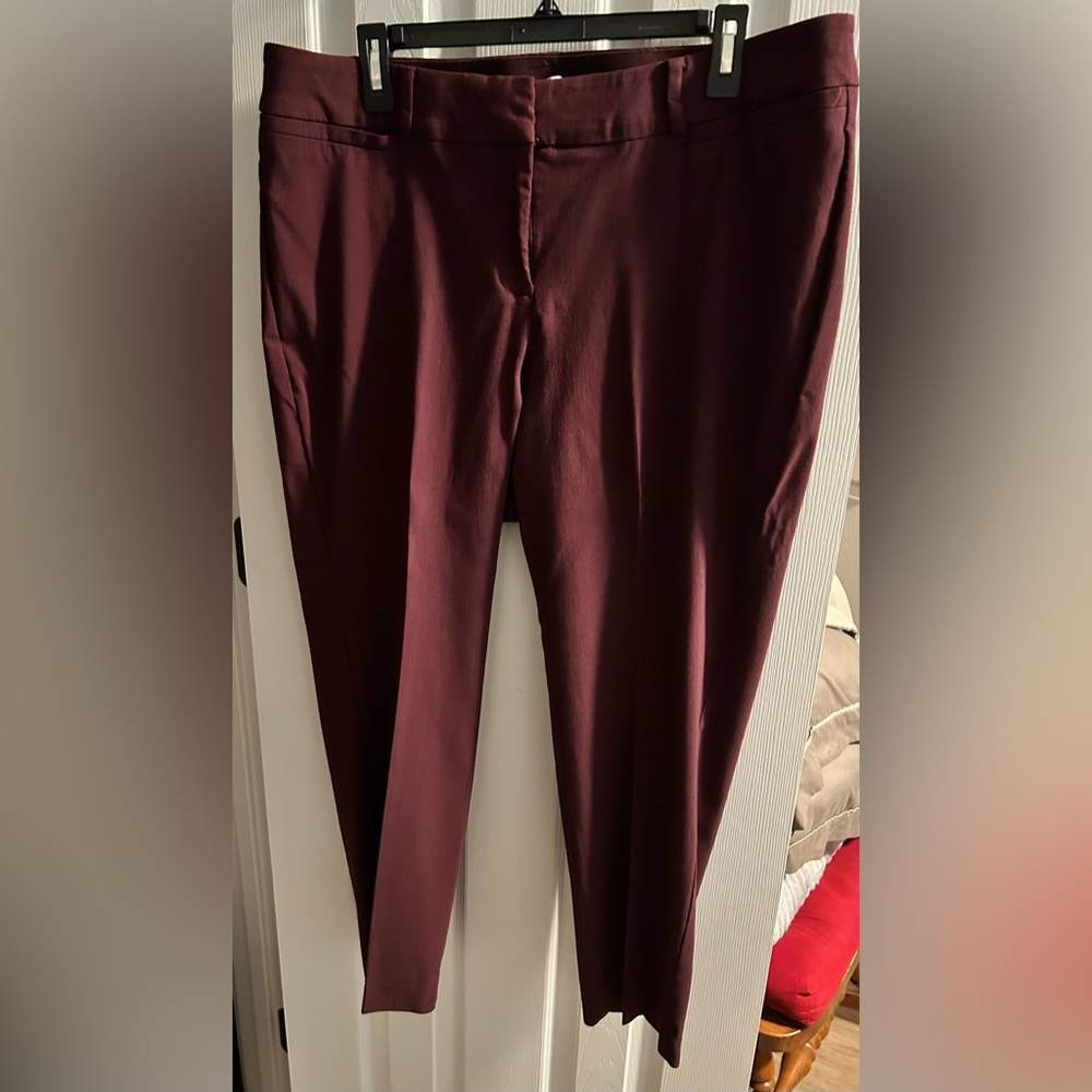 LANE BRYANT Allie Pant in burgundy size 18
